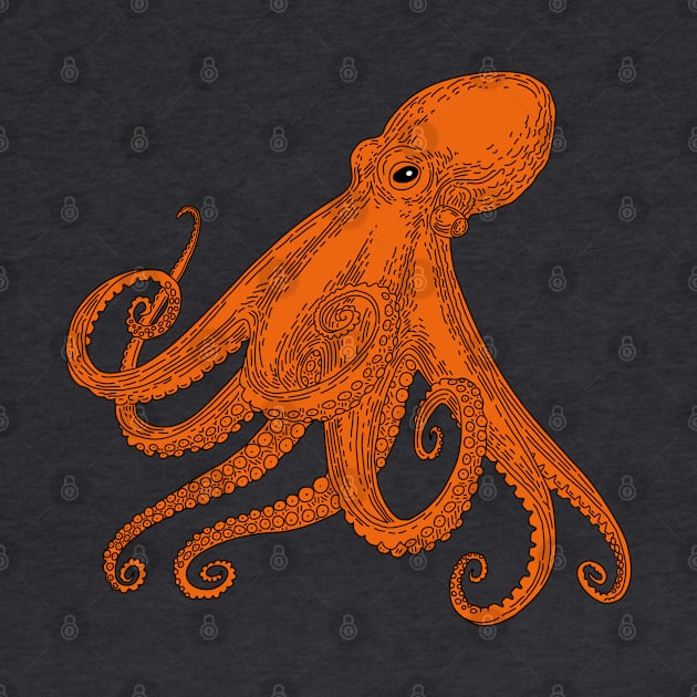 Orange Octopus Marine Life by IndigoLark